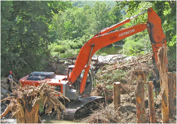 Environmental & Green Projects